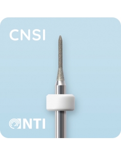 CNSI-3-0 Резец по...