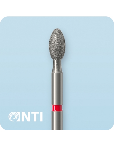 379-023F-FGL - Бор алмазний | NTI