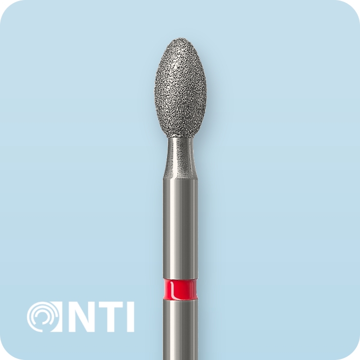 379-023F-FGL - Бор алмазний | NTI