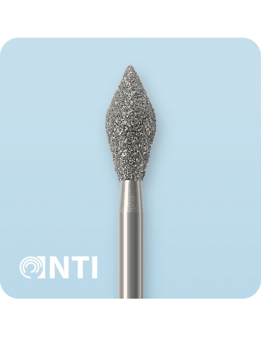 899... FG - Бор алмазний | NTI