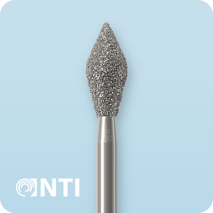 899... FG - Бор алмазный | NTI