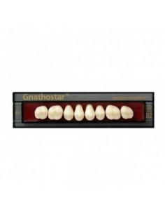 Боковые зубы Gnathostar набор 8шт. (517019)