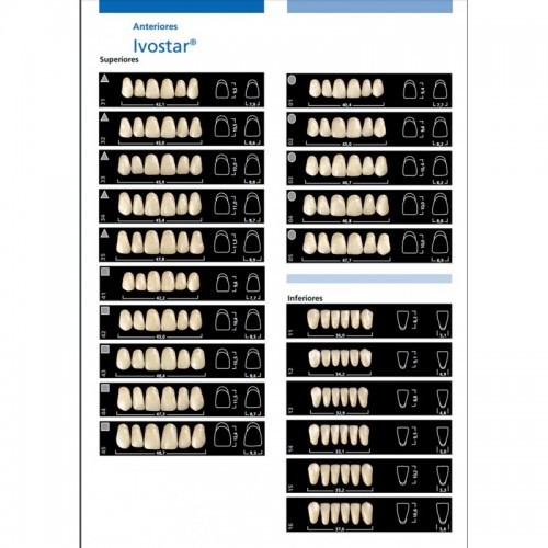 Фронтальні зуби Ivostar, Ivoclar Vivadent