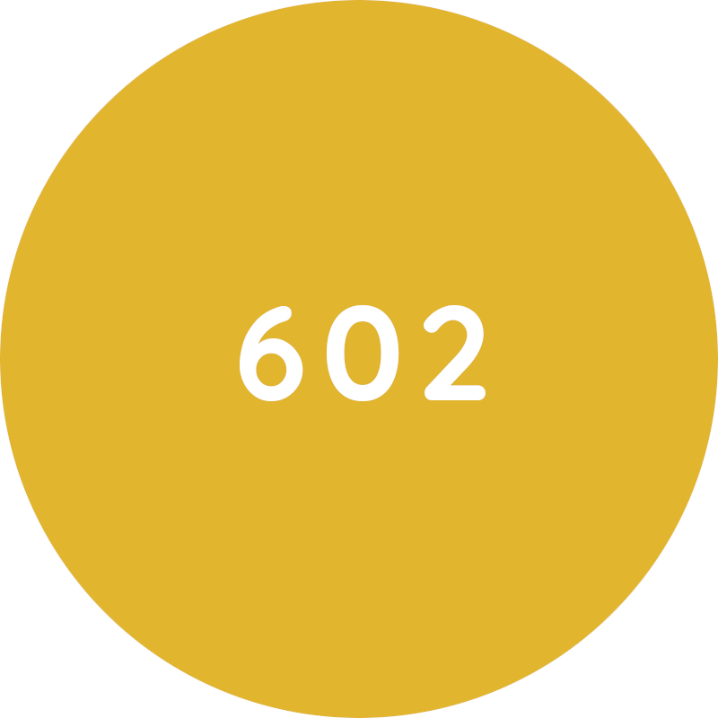 ESAY A5 цвет обивки 602