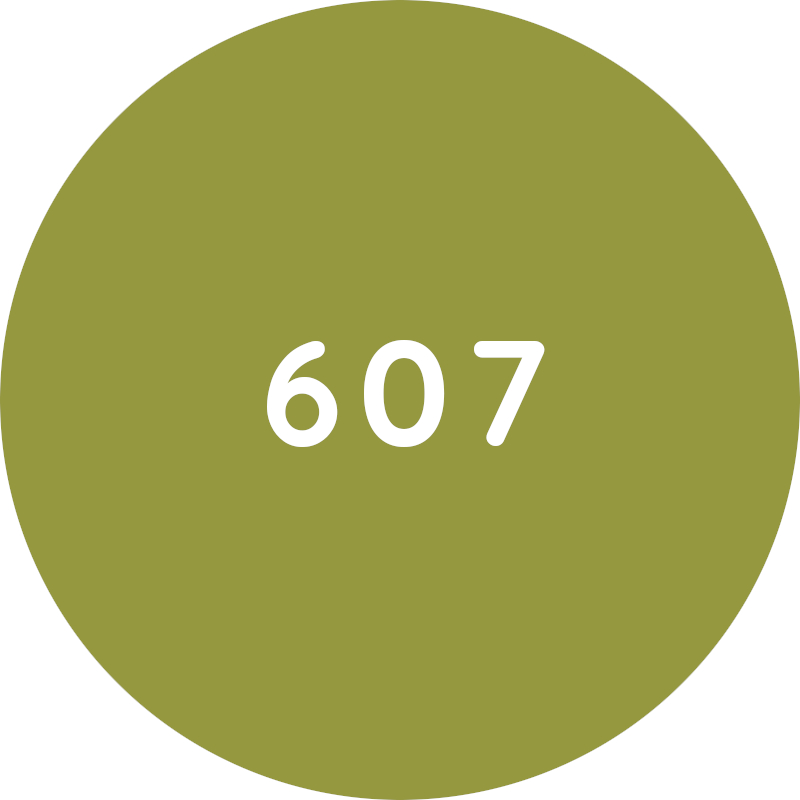 ESAY A5 цвет обивки 607