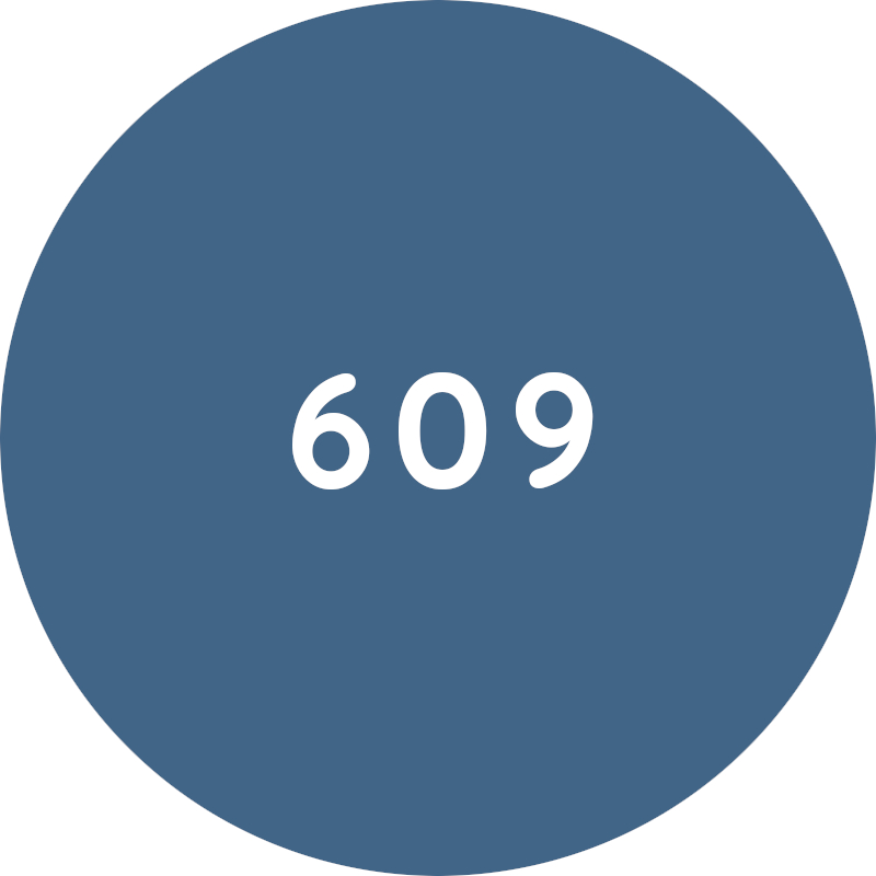 ESAY A5 цвет обивки 609