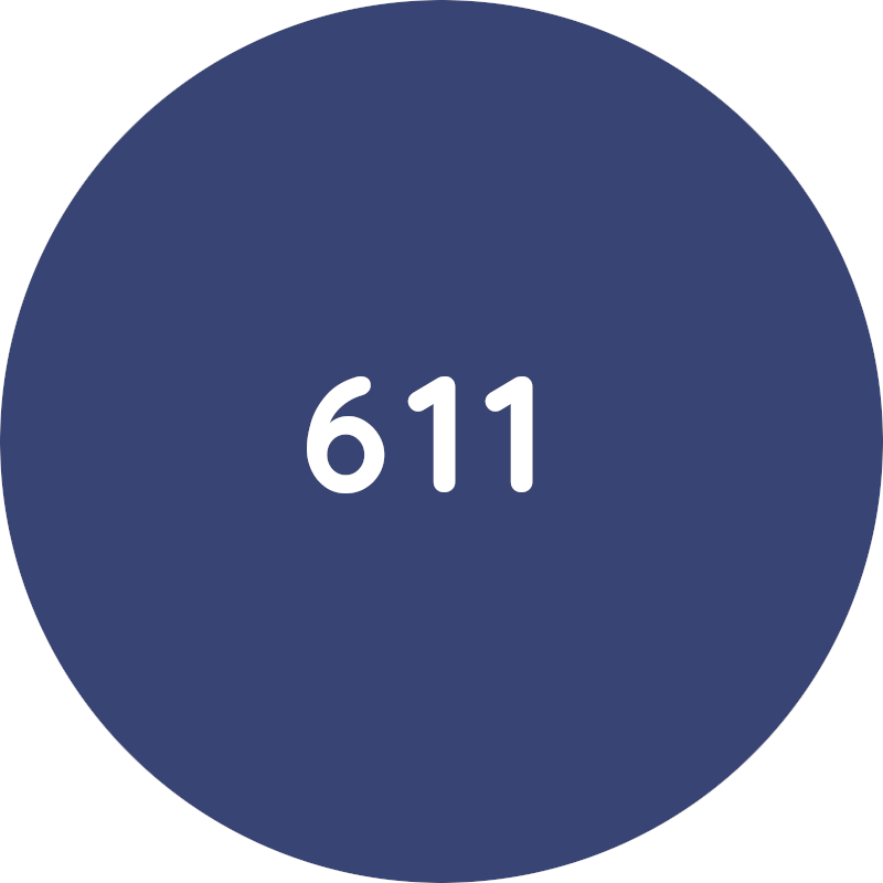 ESAY A5 цвет обивки 611