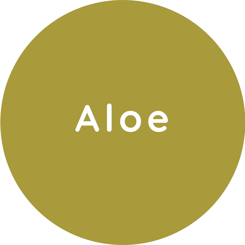 Dentsply Sirona Sinius цвет обивки Aloe