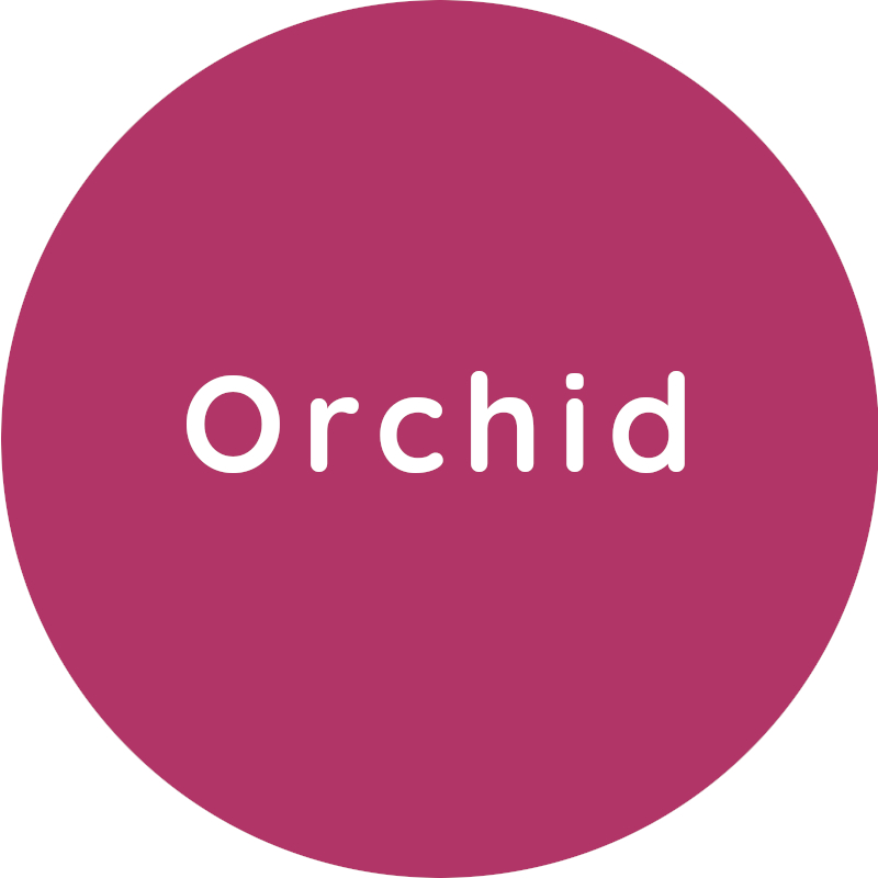 Dentsply Sirona Sinius цвет обивки Orchid