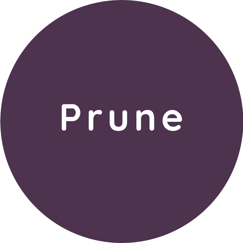 Dentsply Sirona Sinius цвет обивки Prune