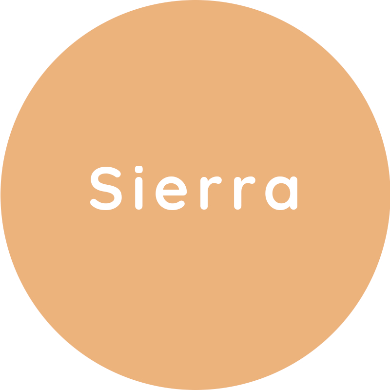 Dentsply Sirona Sinius цвет обивки Sierra